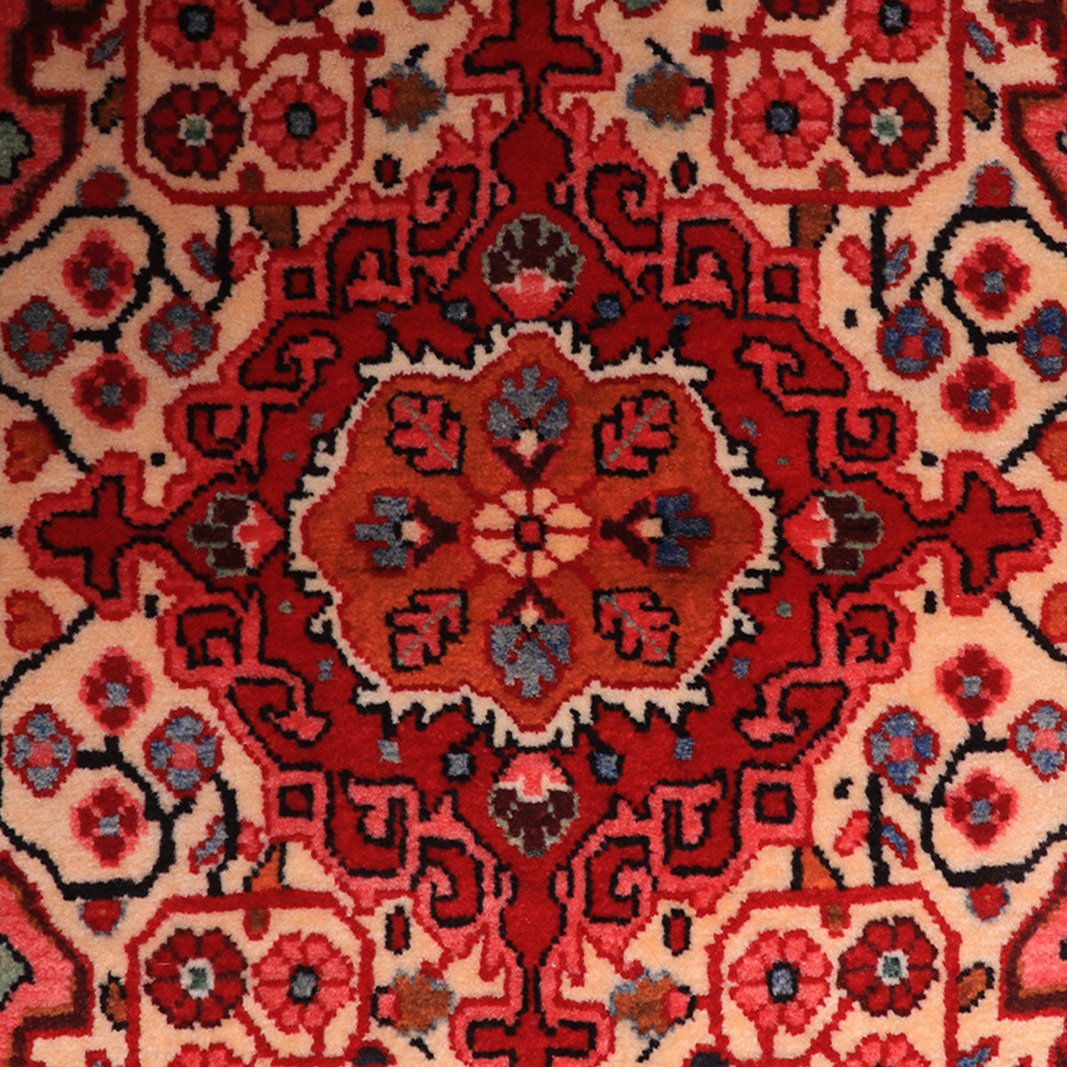 ペルシャ絨毯(イラン産)バクティアリ 103×63cm(FS-70062)