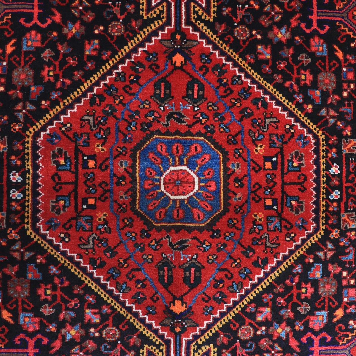 ペルシャ絨毯(イラン産)トゥイセルカーン 229×141cm(FL-70153)