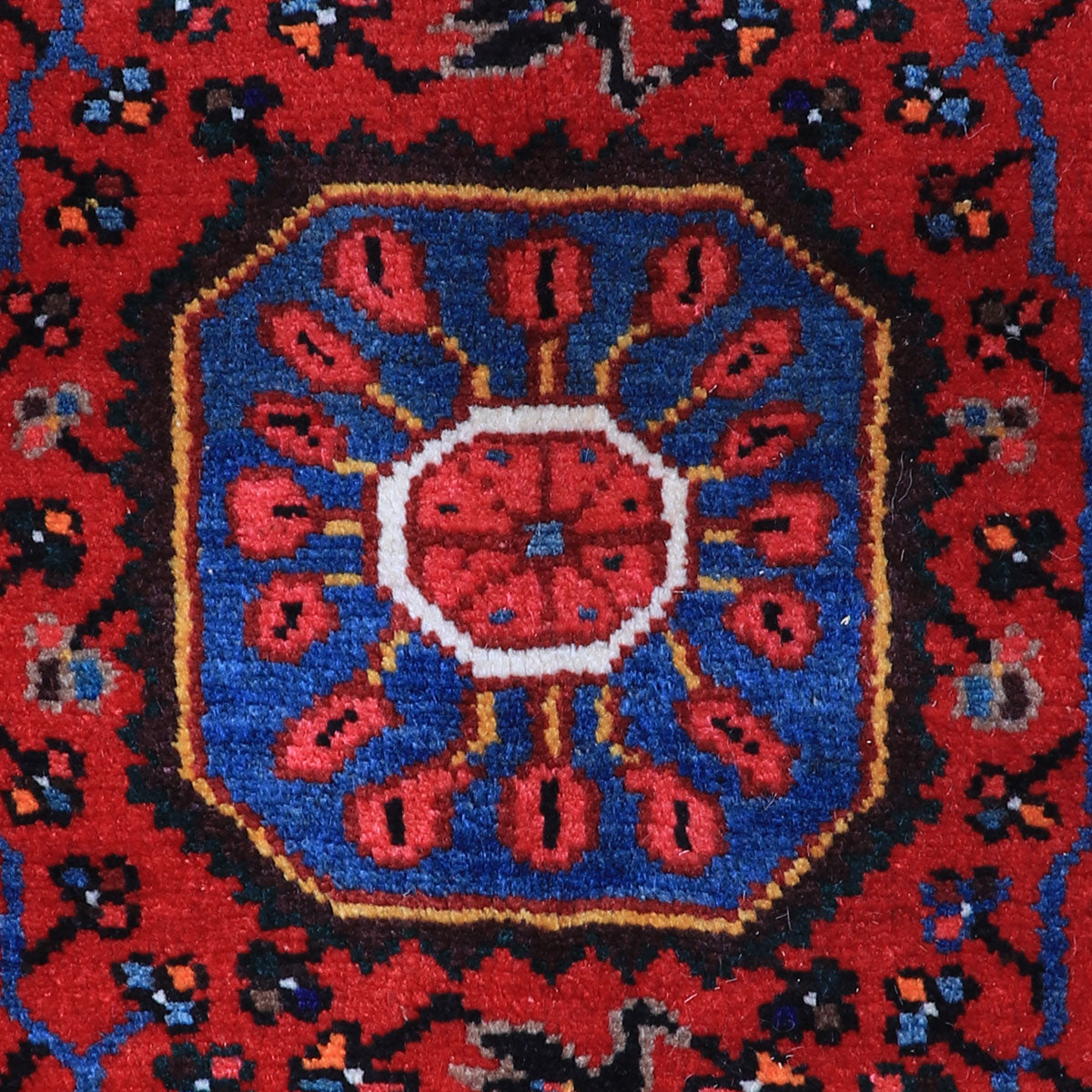 ペルシャ絨毯(イラン産)トゥイセルカーン 229×141cm(FL-70153)