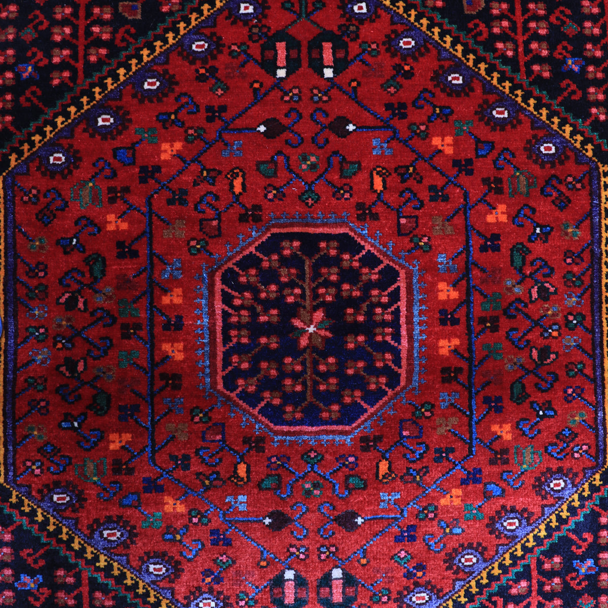 ペルシャ絨毯(イラン産)トゥイセルカーン 232×136cm(FL-70161)