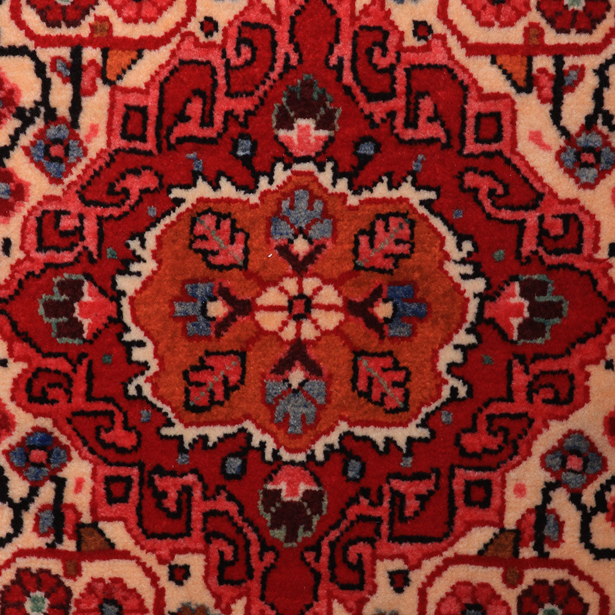ペルシャ絨毯（イラン産）バクティアリ　105×65cm（FS-70063）